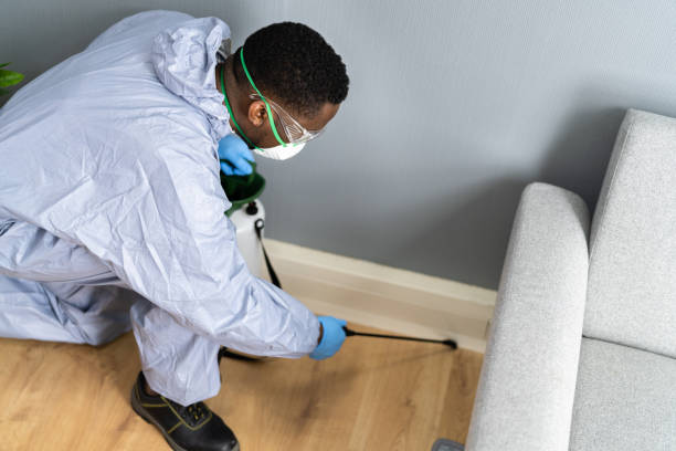 Indoor Pest Control in Midway City, CA